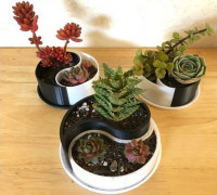Customizable Yin-Yang Planter / Container 3D model
