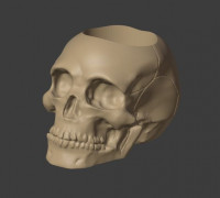 Skull Pot Plant 3D model