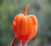 Geared Pumpkin for Halloween! 3D model