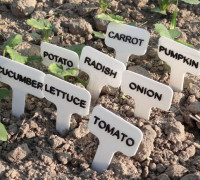 Vegetables signs/labels 3D model