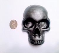 Skull 3D model