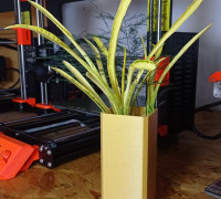 Square Vase 3D model
