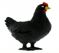 Decorative Chicken 3D model