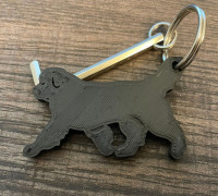 Newfoundland 3D model