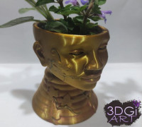 Venus Plant Pot 3D model