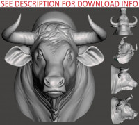 Bull Head For Wall (Large) 3D model