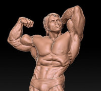 ARNOLD 2 3D model