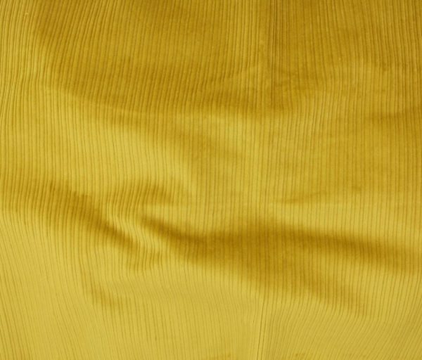 8 Wale Cotton/Spandex Corduroy - Mustard