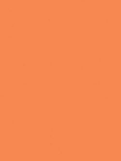 Cotton Poplin - In Color - Pumpkin