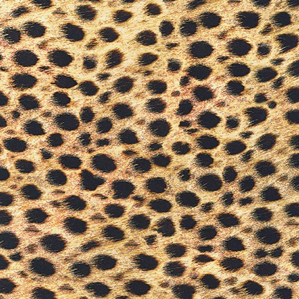 Animal Kingdom - Cotton Lawn - Cheetah - Stonemountain & Daughter Fabrics Animal Kingdom - Cotton Lawn - Cheetah - Stonemountain & Daughter Fabrics
