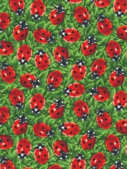Quilting Cotton - You Bug Me! - Ladybugs