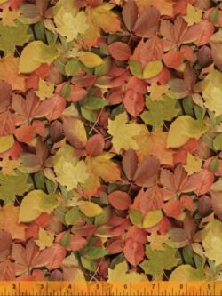 Quilting Cotton - Landscapes - Autumn Splendor - Multi