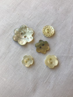 Wide-Rim Mother of Pearl Buttons - Stonemountain & Daughter Fabrics
