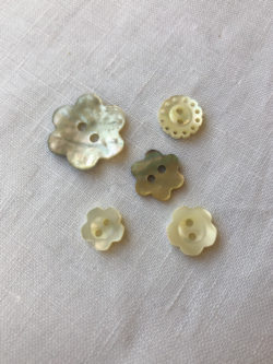 Trochus Shell Shank Buttons - Stonemountain & Daughter Fabrics