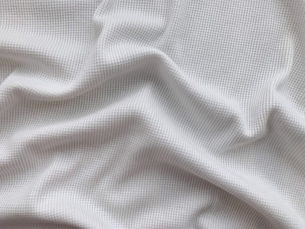 Organic Cotton Rib Knit - Ivory