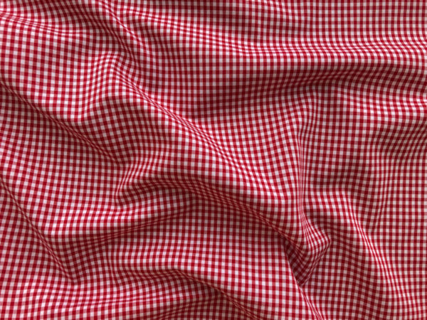 Deadstock Japanese Gingham Shirting - Red