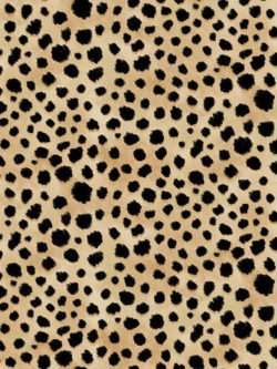 Quilting Cotton - Skin Deep – Cheetah Skin – Tan