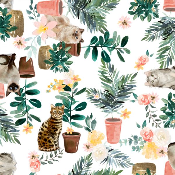 Cats & Potted Plants – White
