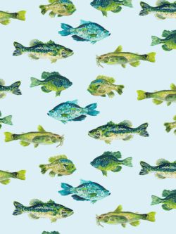 Quilting Cotton - Creekside – Fish – Blue