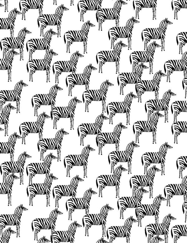 Quilting Cotton - ABC Menagerie – Zebra – White