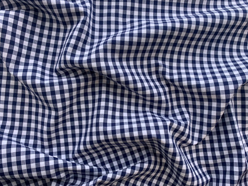 Cotton Yarn Dyed Shirting Gingham Blue Stonemountain & Daughter