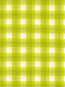 Kitchen Window Wovens - Yarn Dyed Cotton - Pixel Grid Plaid - Pickle