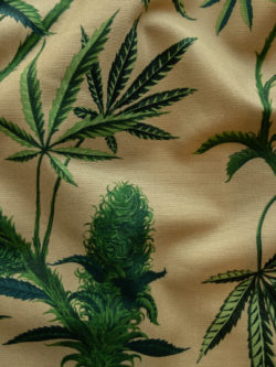 Alexander Henry - Cotton Canvas - Cannabis Sativa - Dark Tea