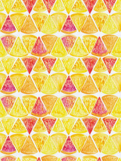 Quilting Cotton - Sweet & Sour - Grapefruit Slices