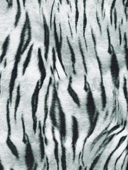 Animal Kingdom - Cotton/Spandex Jersey - White Tiger