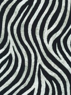 Animal Kingdom - Cotton/Spandex Jersey - Zebra