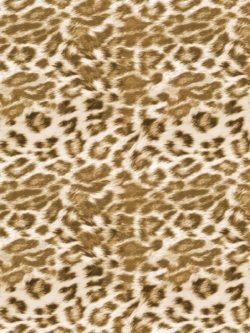 Leopard Print Fabric - Animal Print - 100% Cotton - Robert Kaufman Metro  Earth