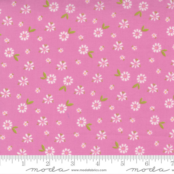 Quilting Cotton – Seashore Drive – Sweet Pea