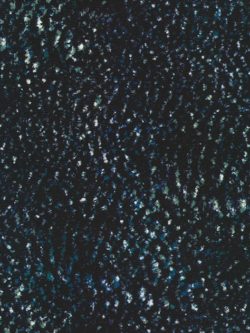 Quilting Cotton – Earth Views - Midnight