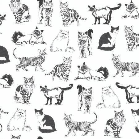 Quilting Cotton - Sketch Cats - White