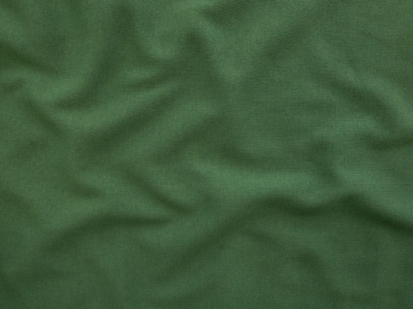 Designer Deadstock - Organic Cotton Rib Knit - Leaf Green