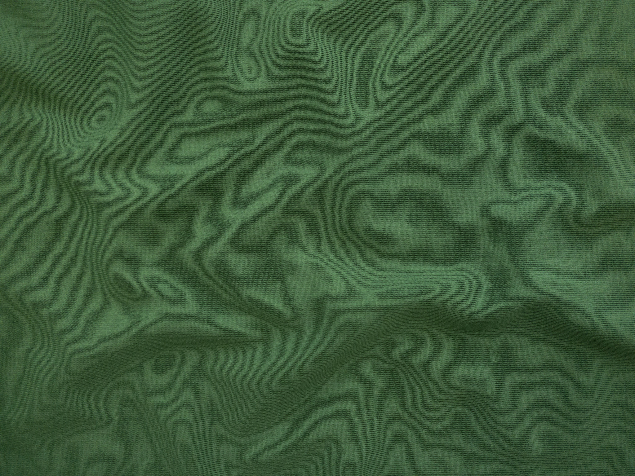Designer Deadstock - Organic Cotton Rib Knit - Leaf Green ...