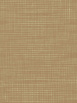 Yarn Dyed Cotton – Compass East – Hedy – Grain