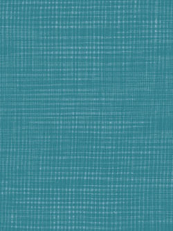 Yarn Dyed Cotton – Compass East - Hedy - Honolulu