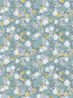 Quilting Cotton – Bramble - Daisy Fields - Blue