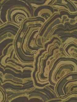Quilting Cotton – Cloud 9 – Into the Woods - Turkey Tail - Green