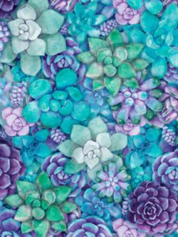 Quilting Cotton - Blossom - Mixed Succulents