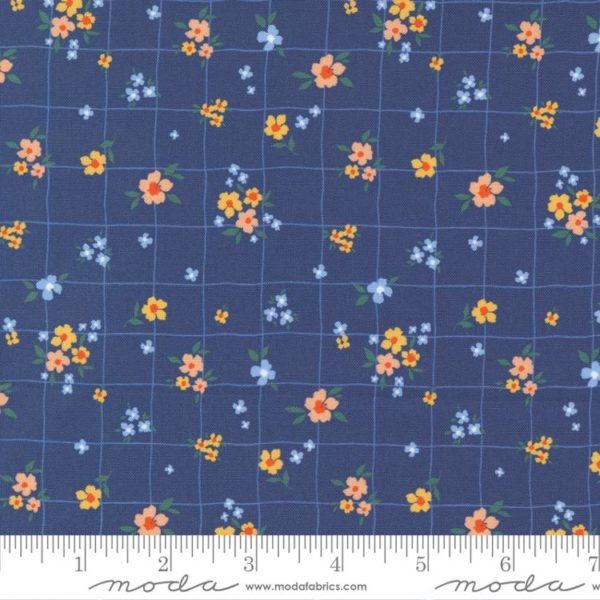 Quilting Cotton – Sundance - Buttercup - Indigo