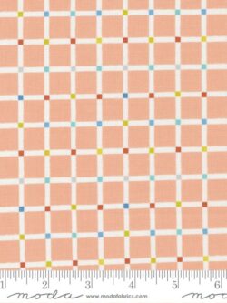 Quilting Cotton - Delivered With Love - Grid - Peachy