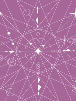 Quilting Cotton – Hopscotch - Compass - Orchid