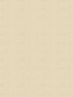 Quilting Cotton Solid - Cream Beige