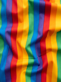 European Designer Deadstock - Cotton Sheeting - Rainbow