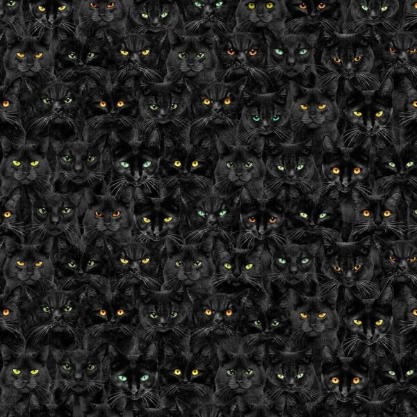 Quilting Cotton - Wicked - Black Cats Magic