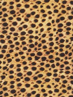 Quilting Cotton - Animal Kingdom Minis - Cheetah