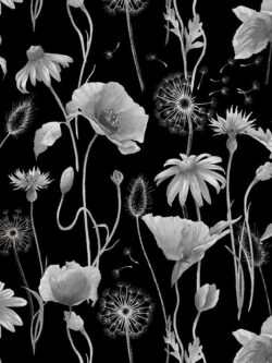 Quilting Cotton - Graphite - Anemone Poppy Floral - Black