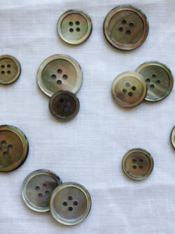 Trochus Shell Shank Buttons - Stonemountain & Daughter Fabrics